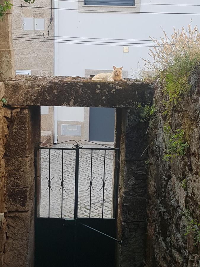 Casa Da Vila Penamacor Εξωτερικό φωτογραφία