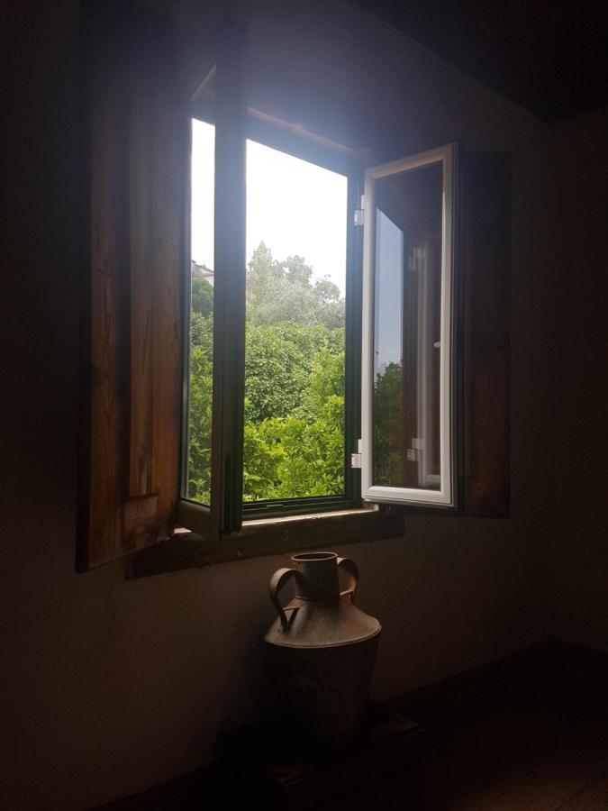 Casa Da Vila Penamacor Εξωτερικό φωτογραφία